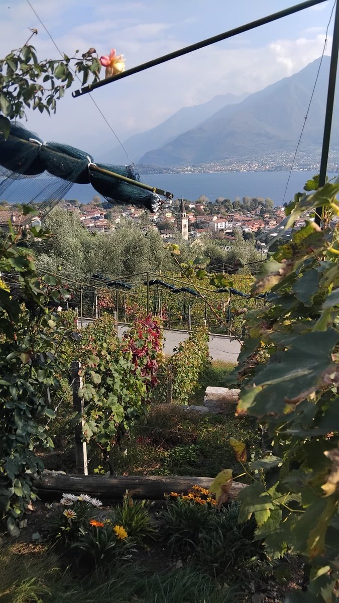 Sorsasso Tour 1